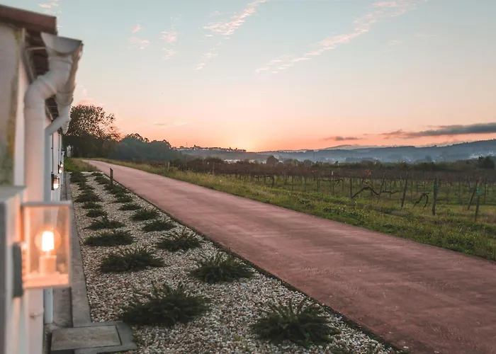 בית הארחה Alma Candida 24 3*